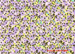MOTIFS DE TISSU SN 3.gif